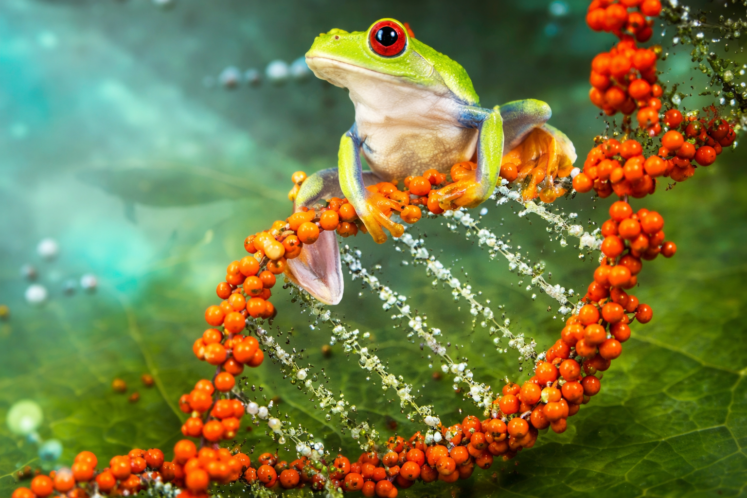 biology at osu