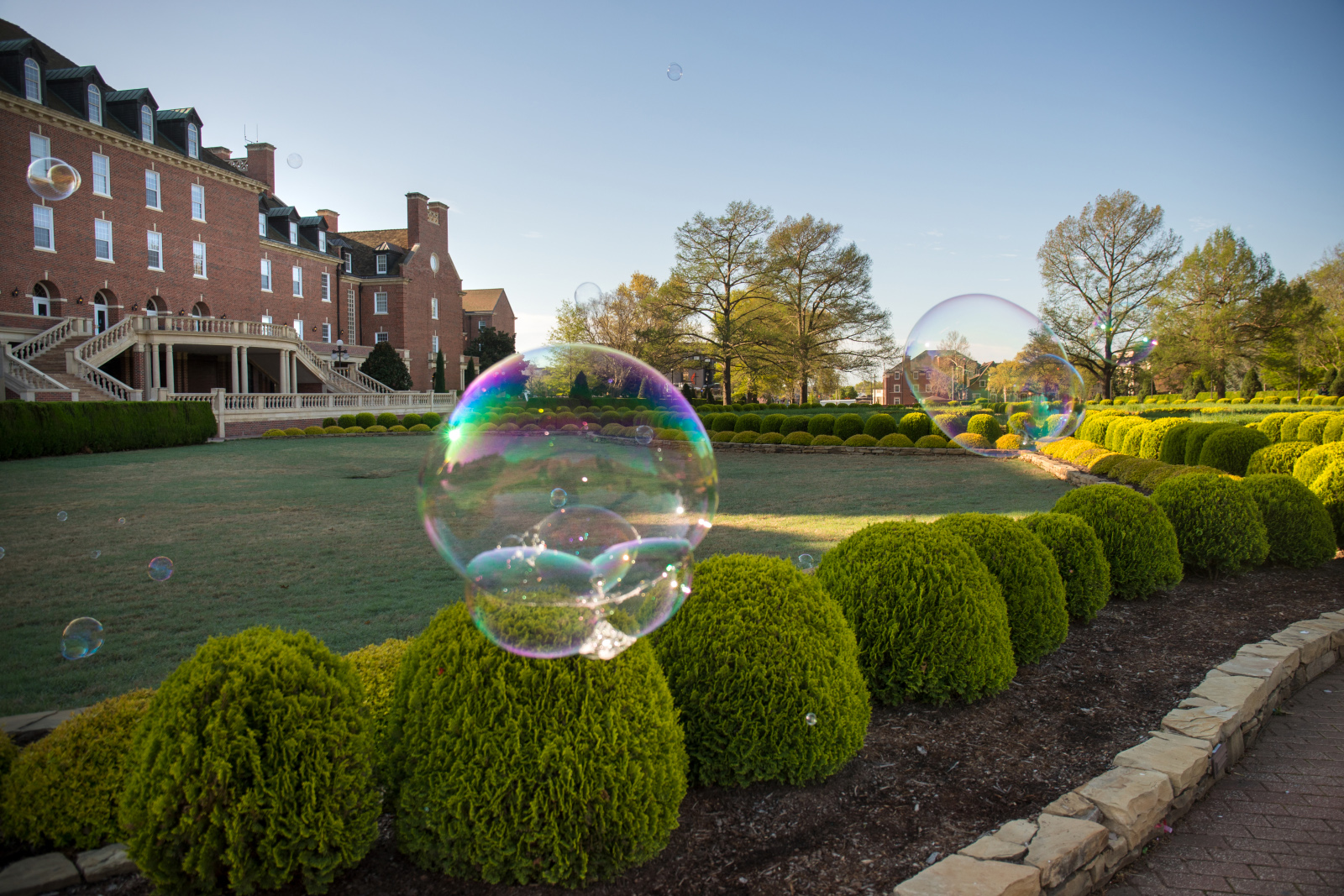 200408_campus_bubbles_008